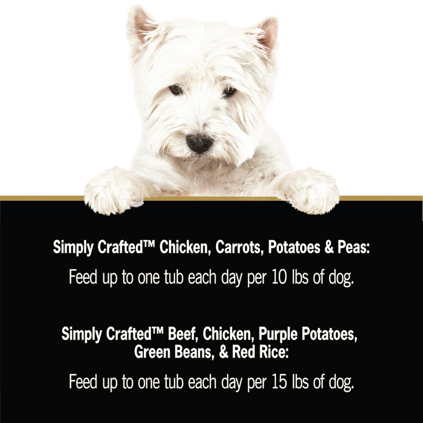 Cesar Simply Crafted Chicken & Beef Wet Dog Food Variety Pack; image 3 of 5