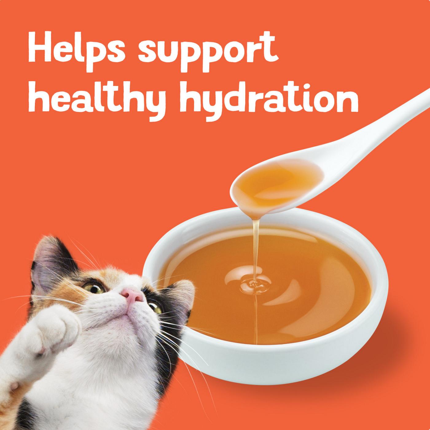 Friskies Purina Friskies Lil' Gravies Variety Pack With Chicken, Salmon