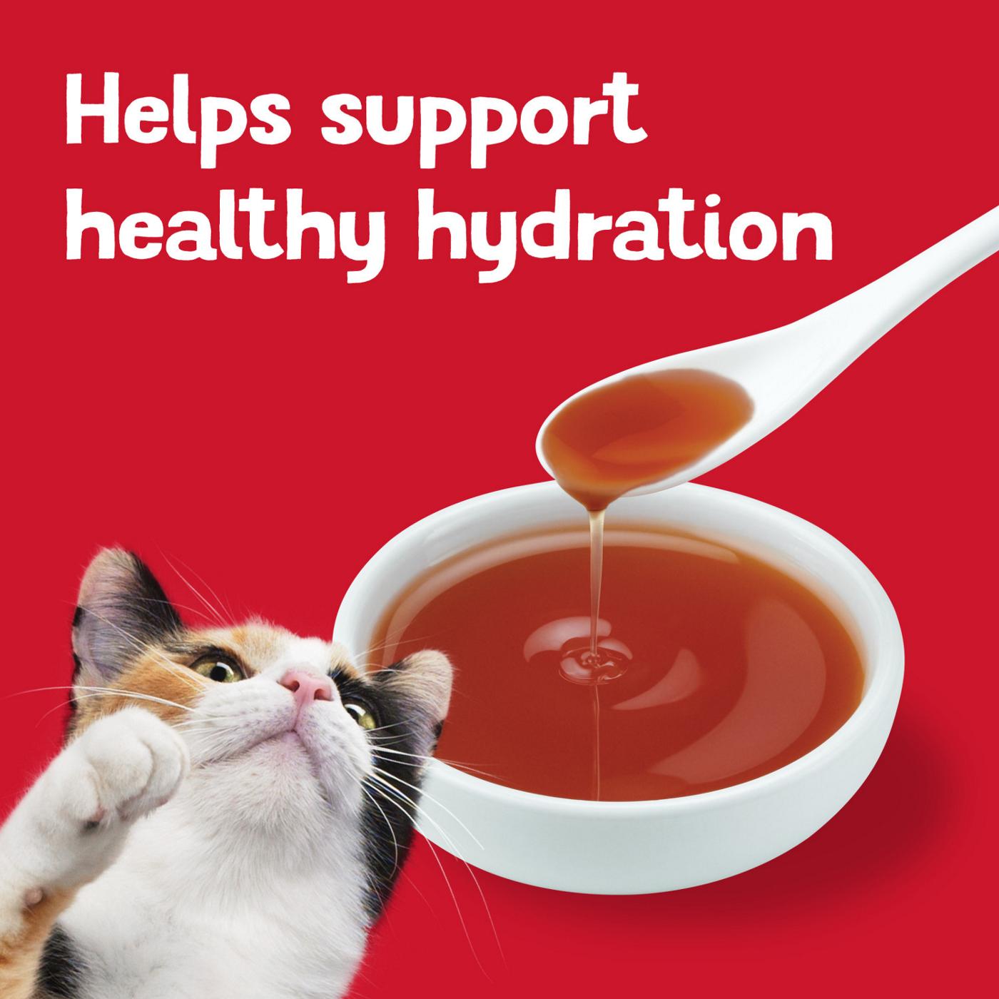 Friskies Purina Friskies Lil' Gravies Roast Beef Flavor Cat Food