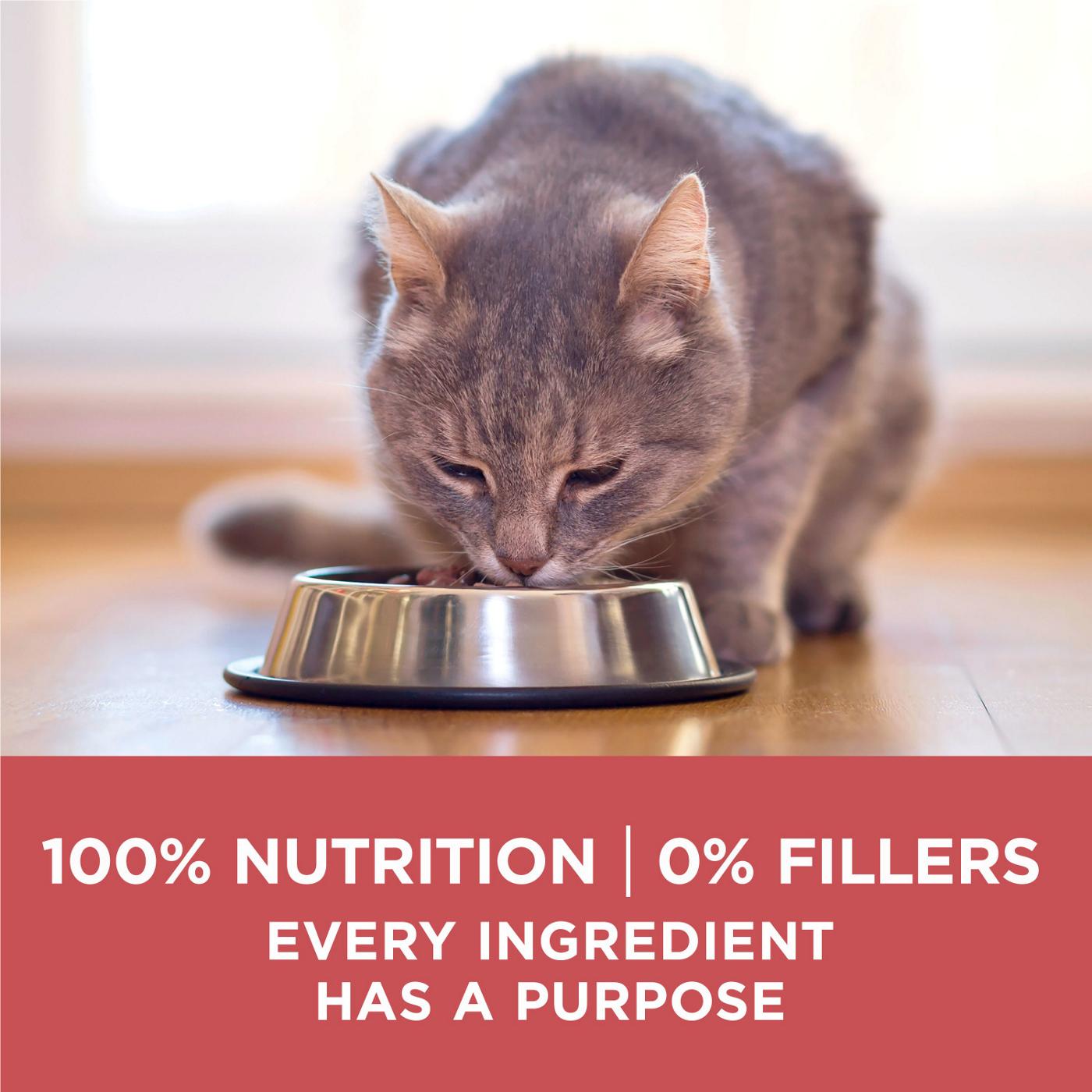 Purina ONE Purina ONE Natural Low Fat, Indoor Dry Weight Control High Protein Cat Food Plus Indoor Advantage With Real Salmon; image 3 of 7