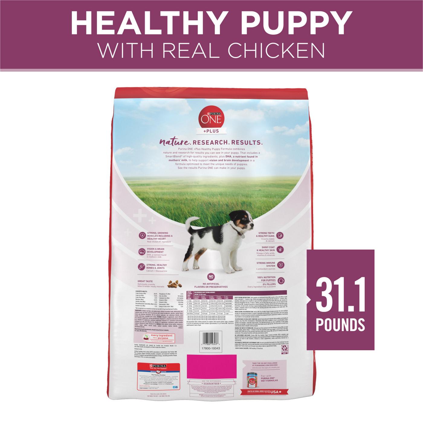 Purina ONE Purina ONE Plus Healthy Puppy Formula High Protein Natural Dry Puppy Food with added vitamins, minerals and nutrients; image 3 of 7
