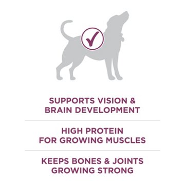 Purina ONE Plus Healthy Puppy Formula High Protein Natural Dry Puppy Food