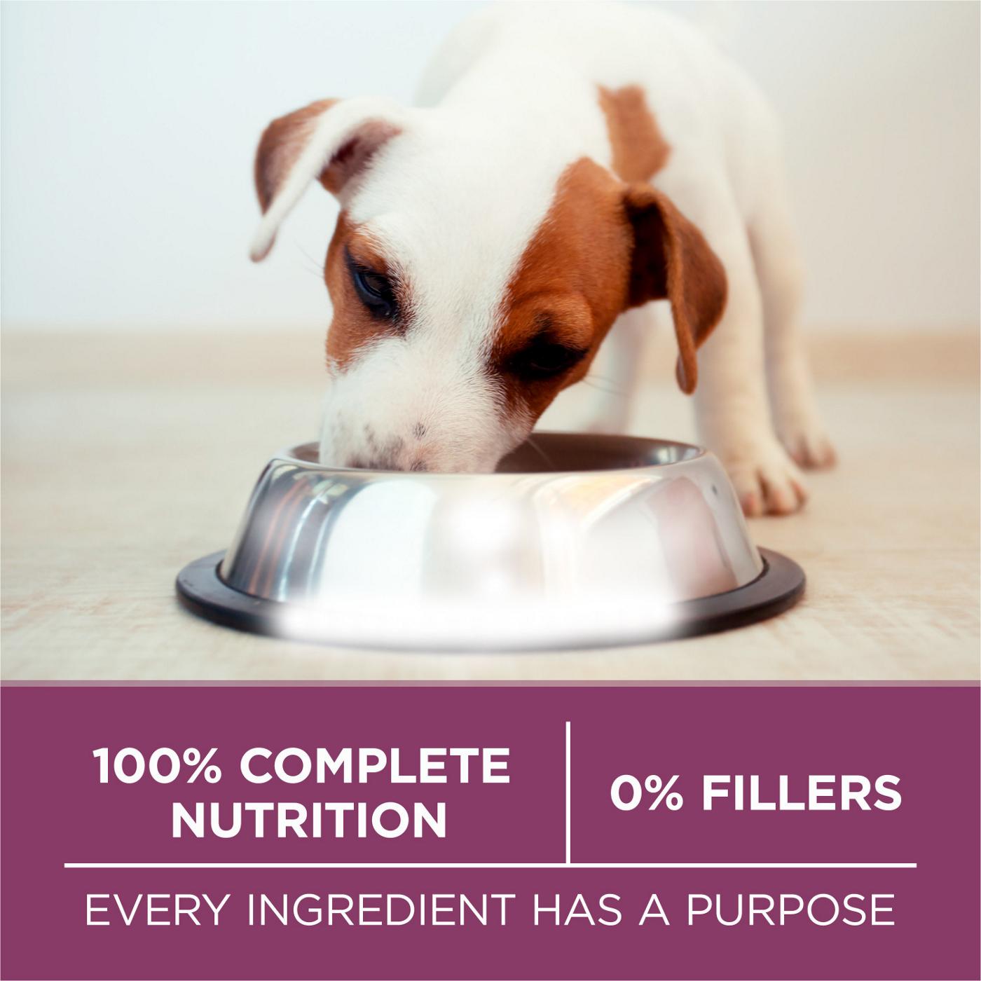 Purina ONE Purina ONE Plus Healthy Puppy Formula High Protein Natural Dry Puppy Food with added vitamins, minerals and nutrients; image 7 of 7