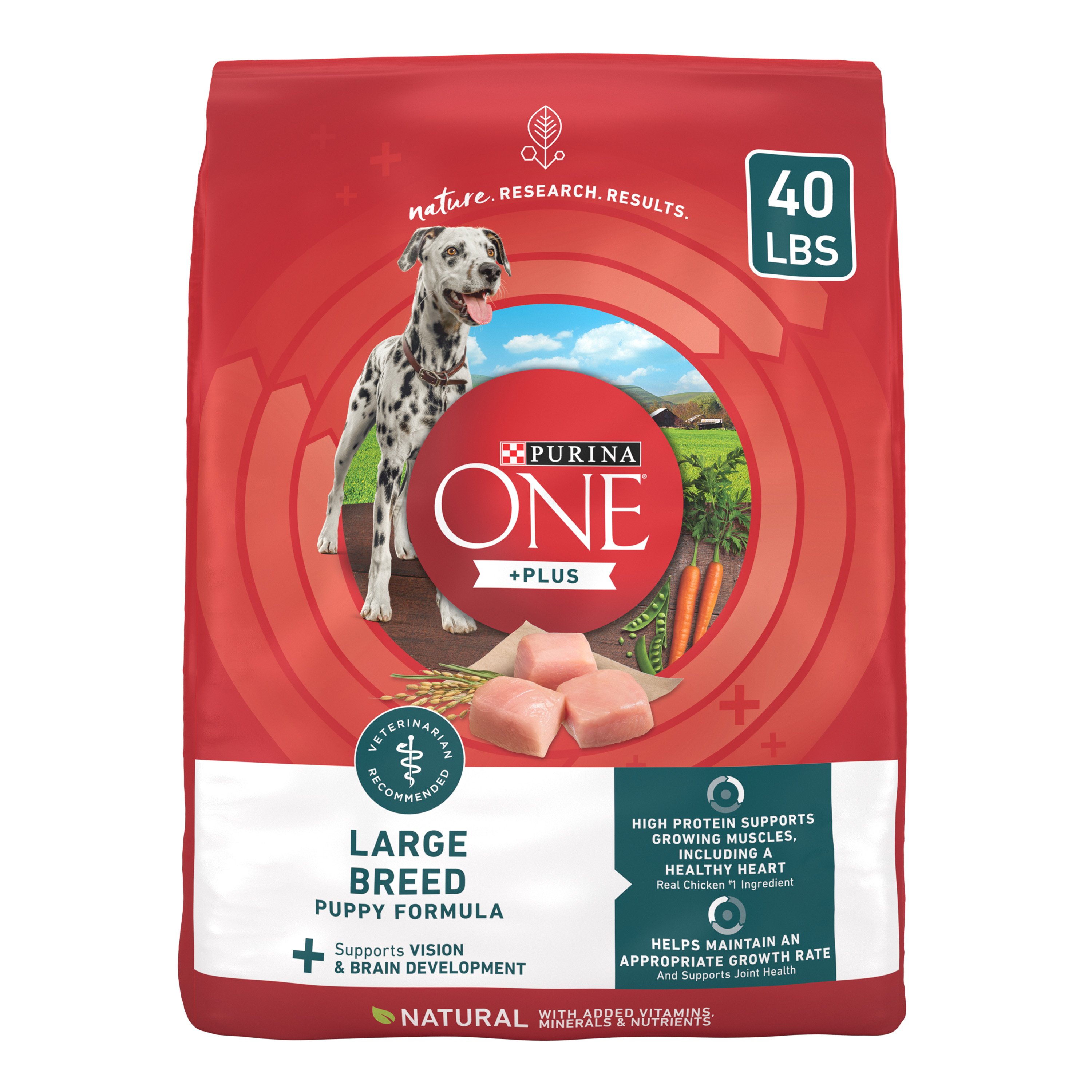 Purina ONE Purina ONE Plus Large Breed Puppy Food Dry Formula - Shop ...