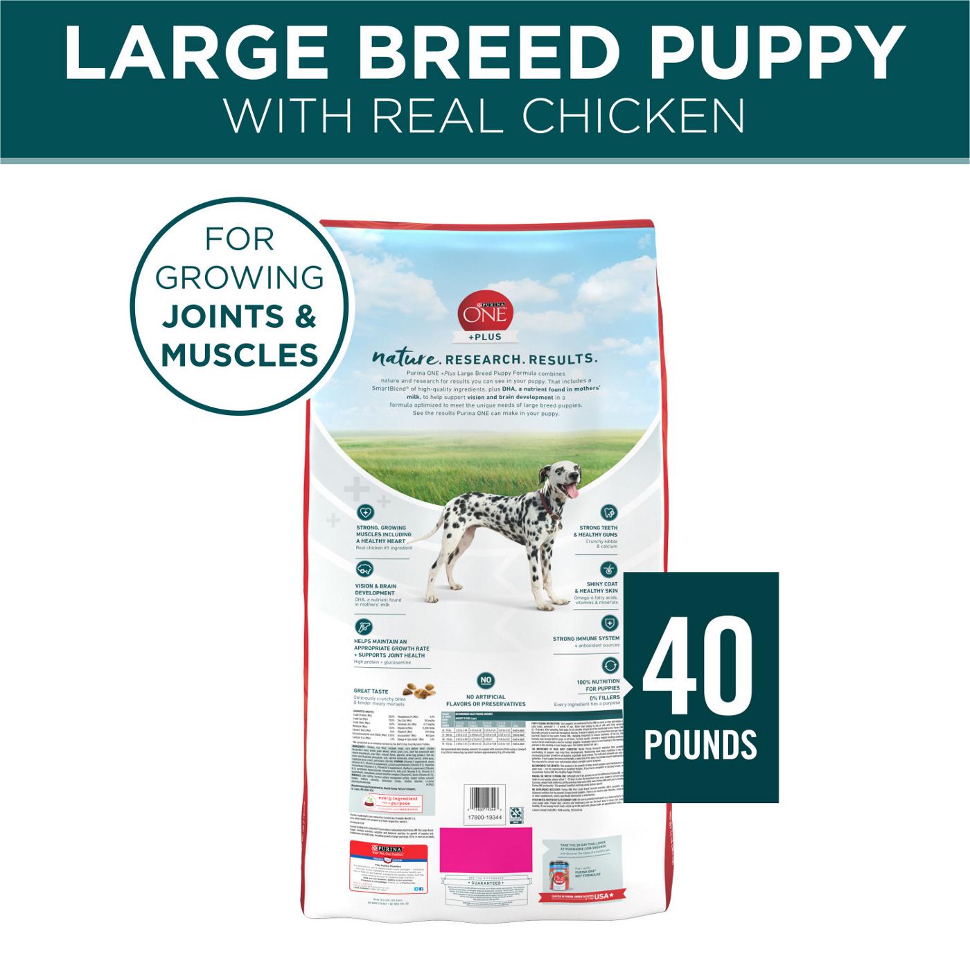 Purina ONE Purina ONE Plus Large Breed Puppy Food Dry Formula; image 3 of 6