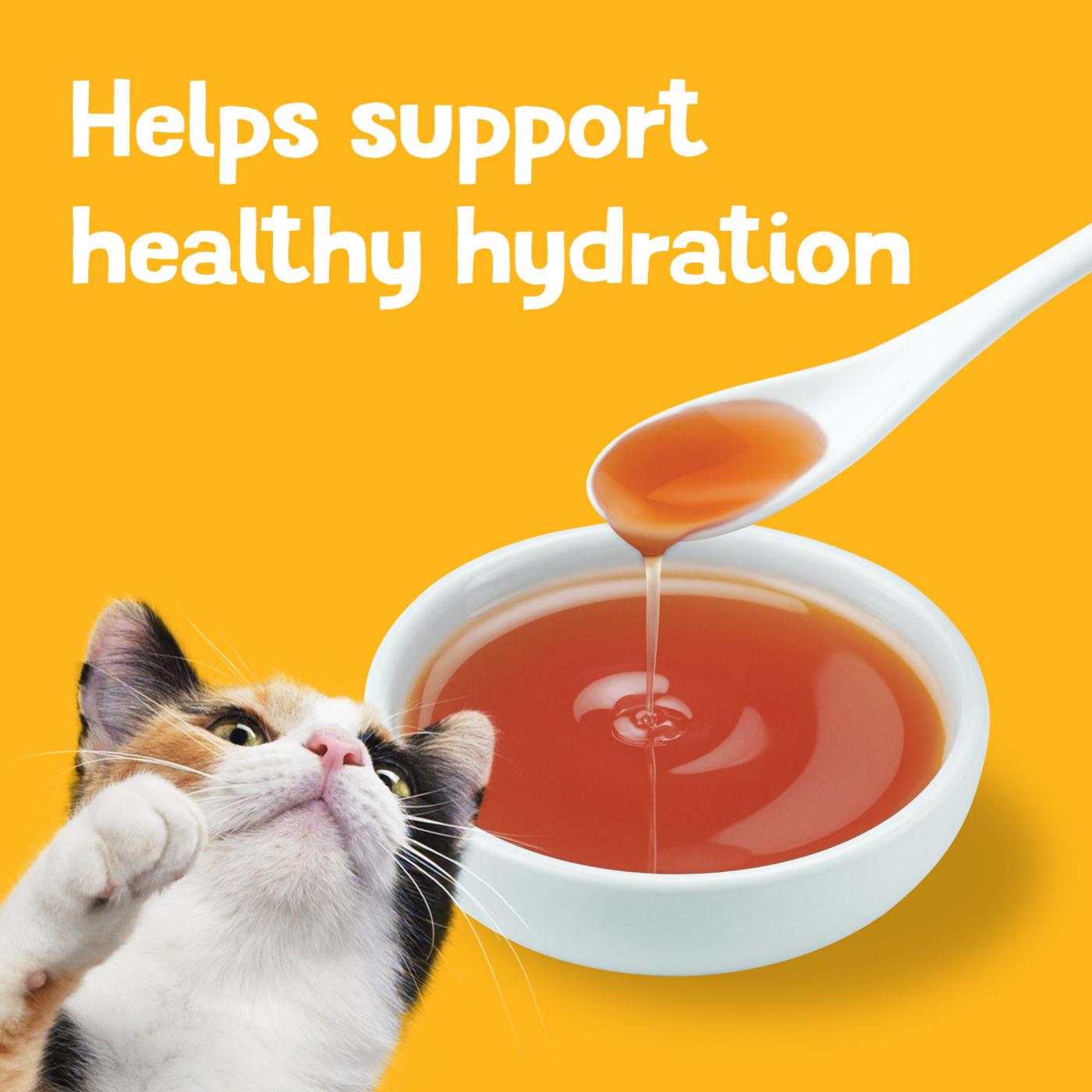 Friskies Purina Friskies Lil' Gravies Roasted Chicken Flavor Cat Food