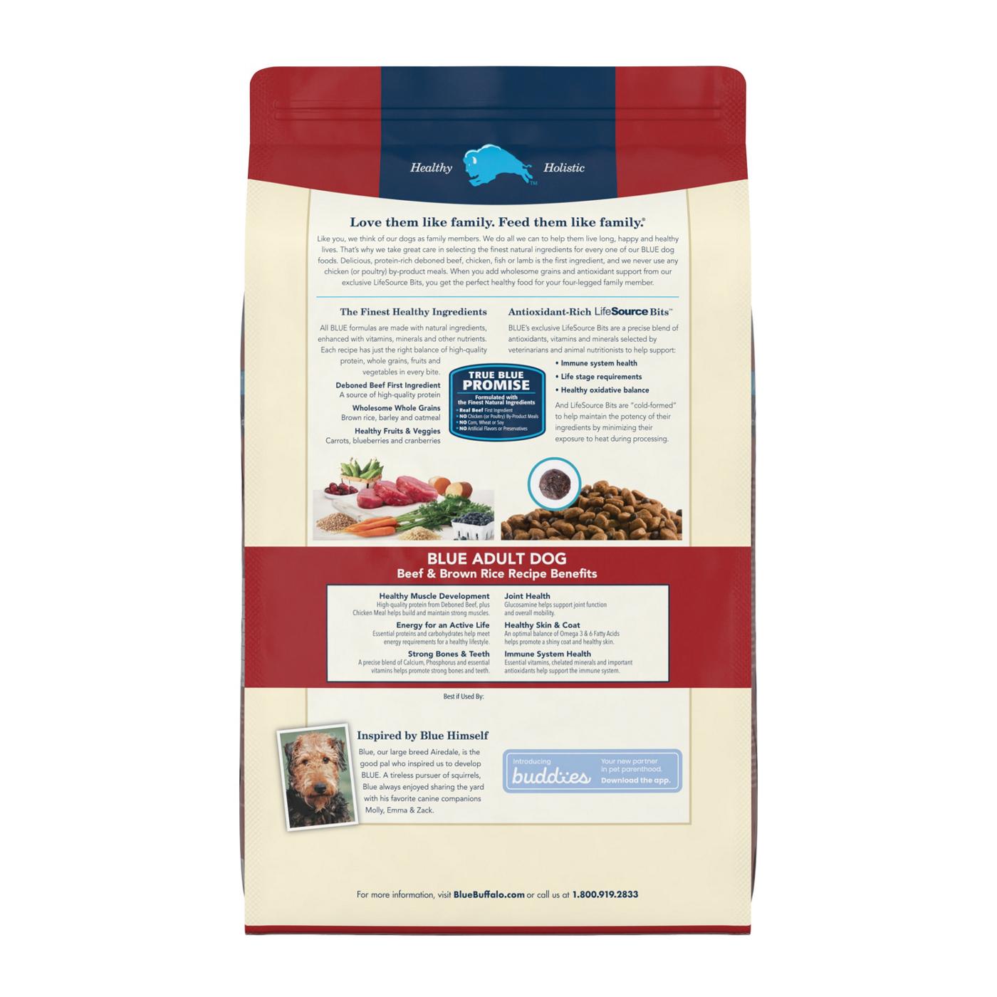 Blue Buffalo Life Protection Formula Beef and Brown Rice Recipe Adult Dry Dog Food; image 2 of 2