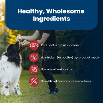 Blue Buffalo Life Protection Formula Dry Dog Food - Beef