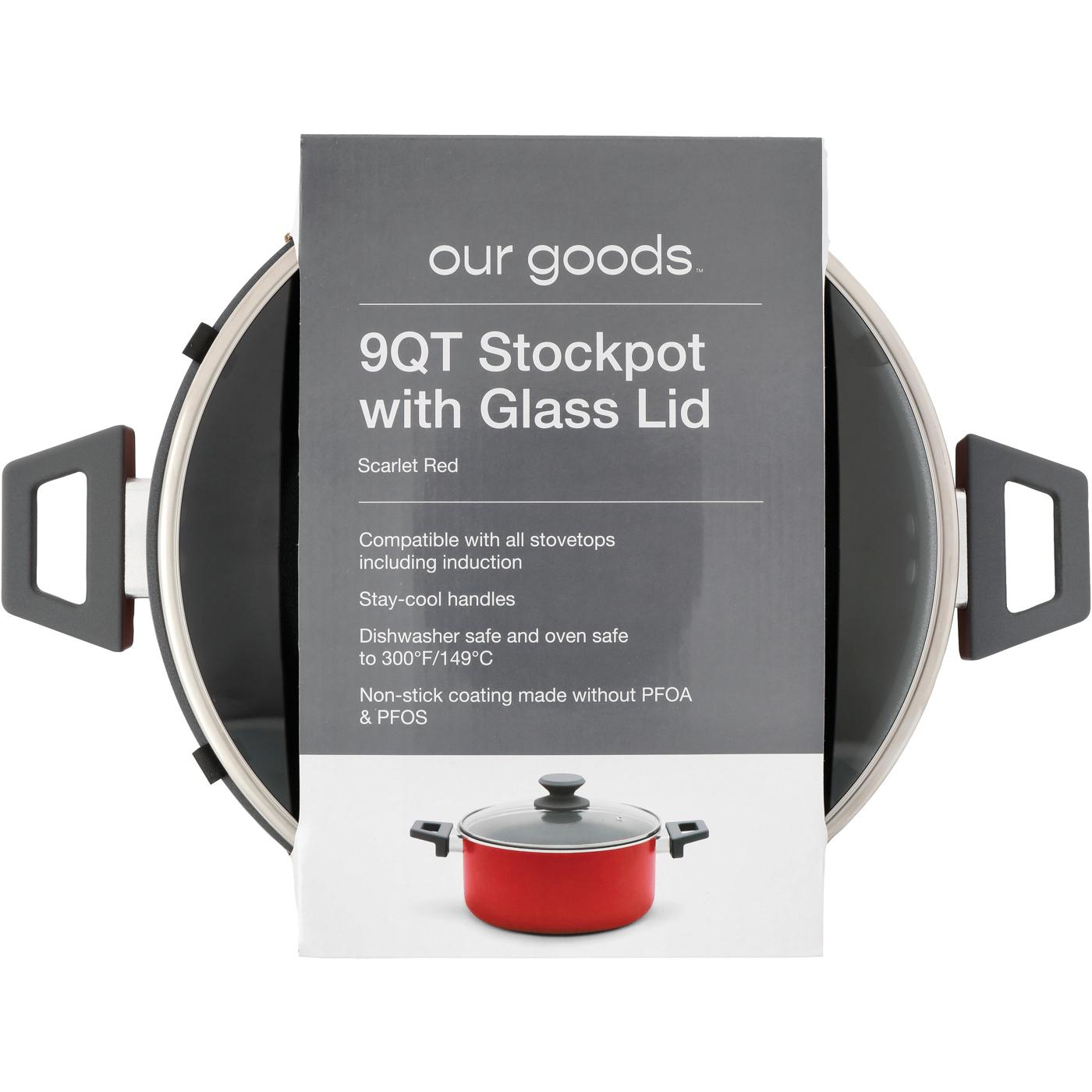 our goods Stockpot with Glass Lid Scarlet Red Shop Stock pots