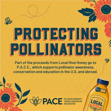 Local Hive Raw & Unfiltered Wildflower Honey, 24 oz