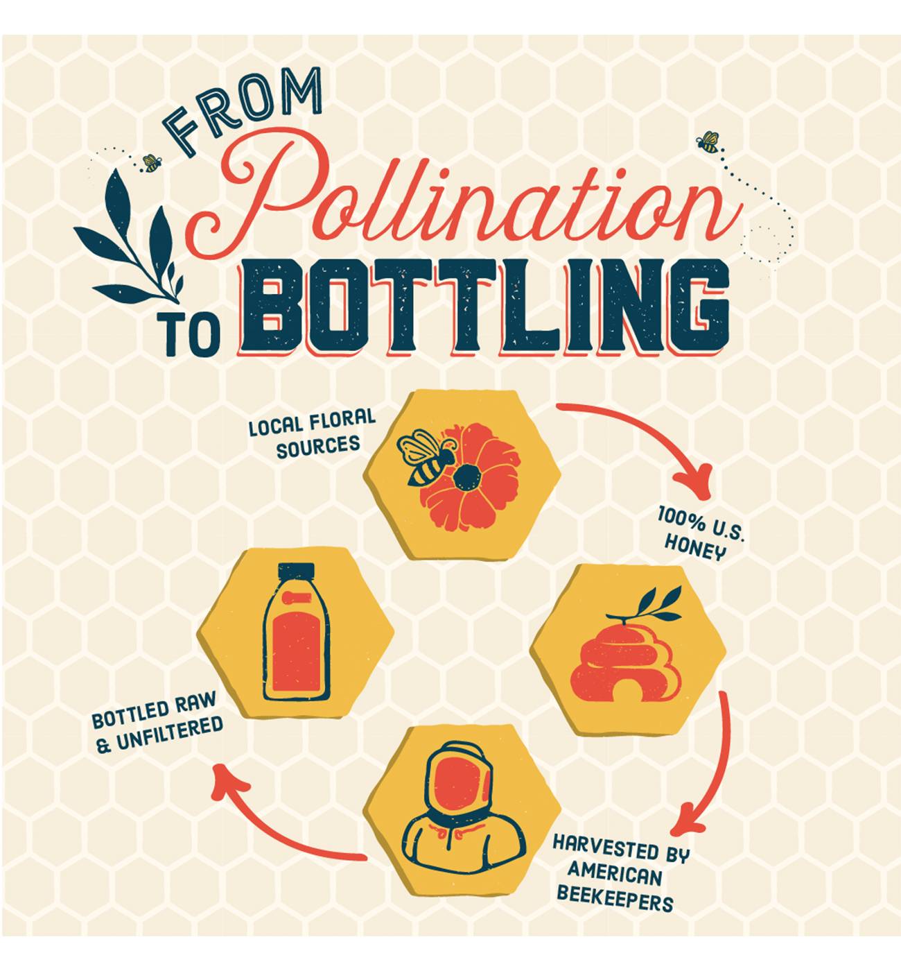 Local Hive Raw & Unfiltered Clover Honey; image 4 of 5