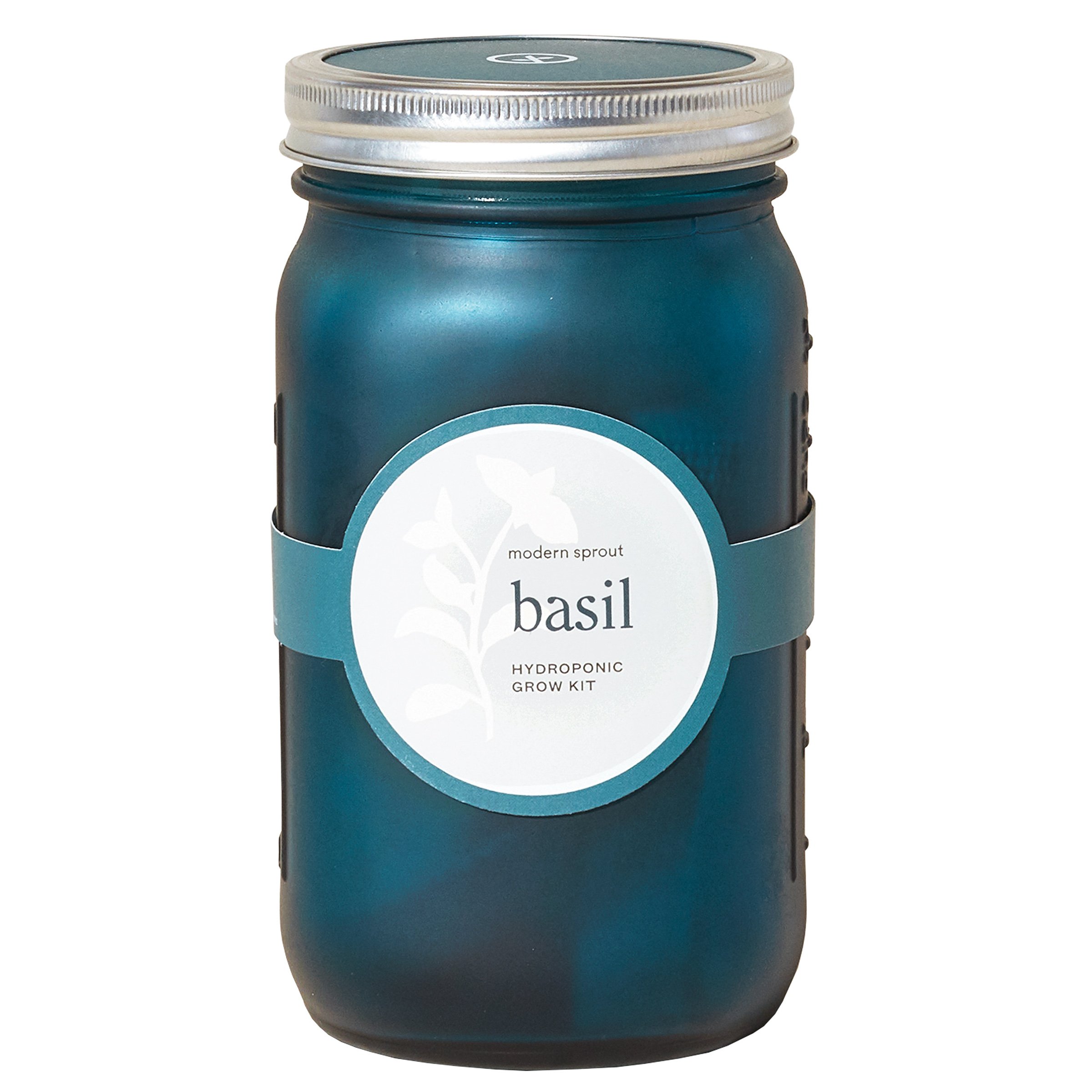 Modern Sprout Organic Basil Hydroponic Grow Kit Garden Jar Shop