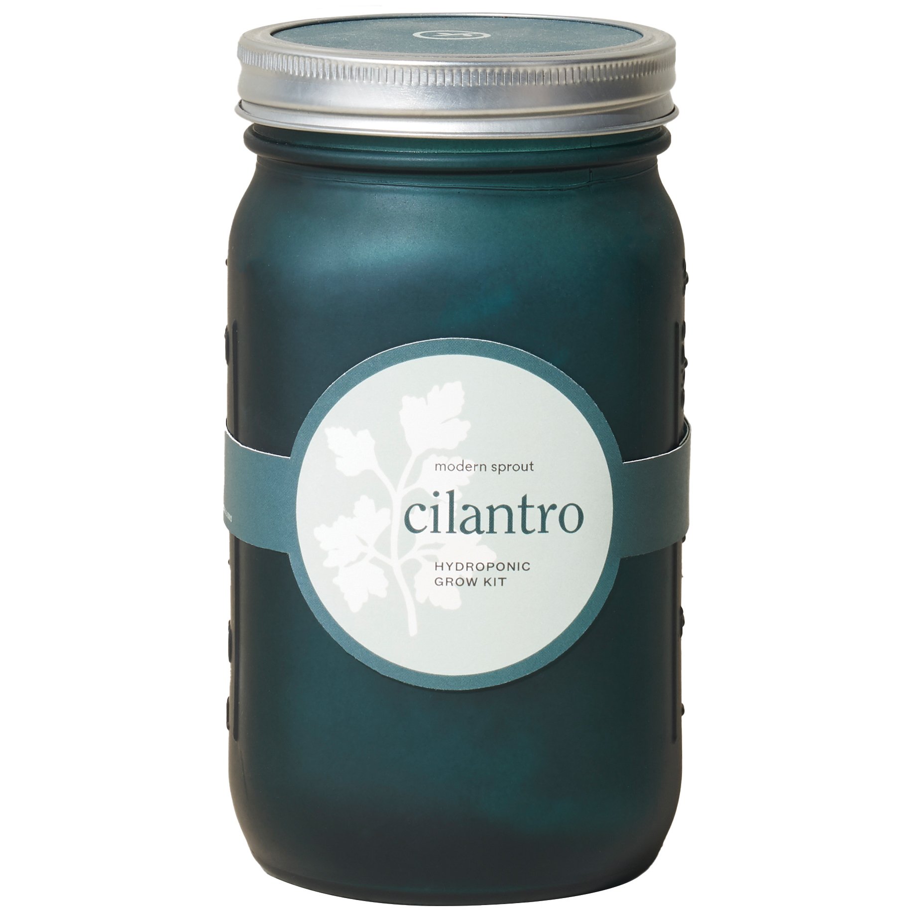 Modern Sprout Organic Cilantro Hydroponic Grow Kit Garden Jar Shop