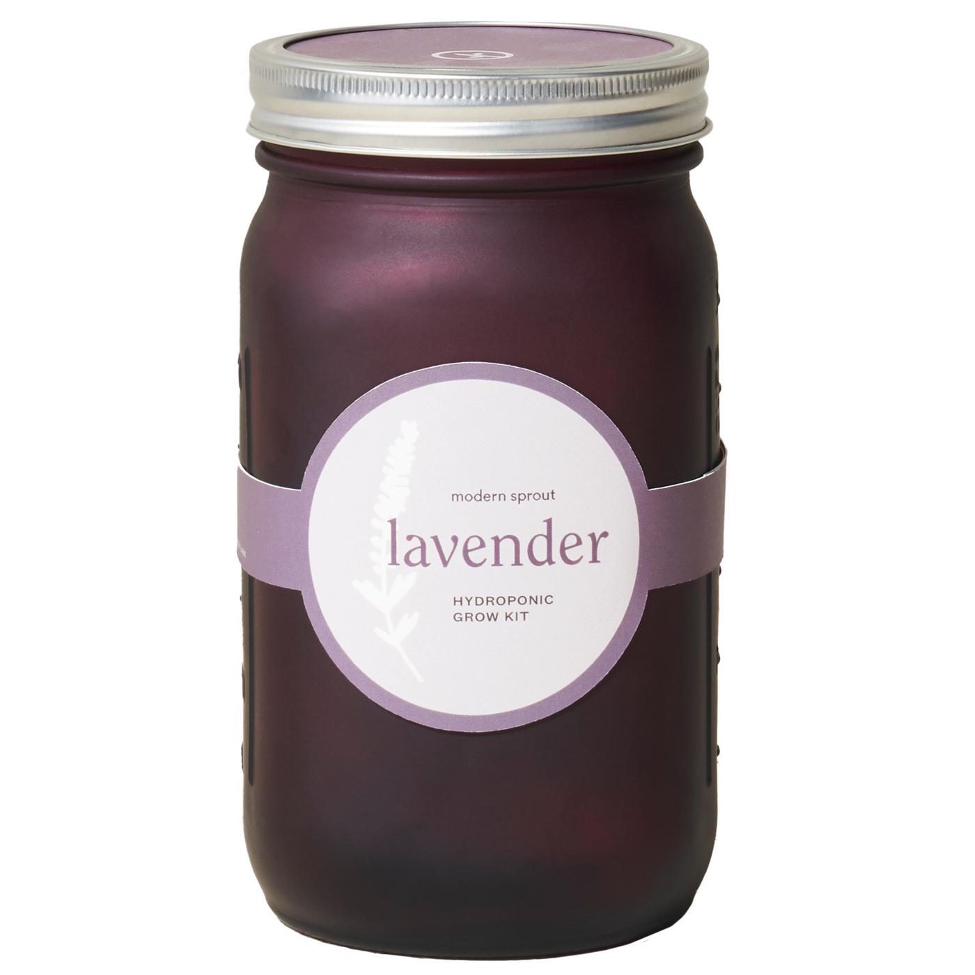 Modern Sprout Organic Lavender Hydroponic Grow Kit Garden Jar Shop