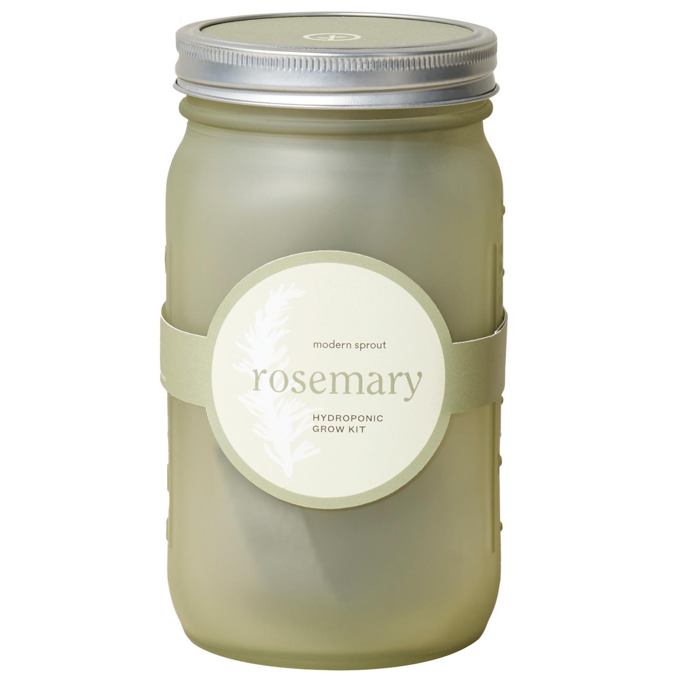 Modern Sprout Organic Rosemary Hydroponic Grow Kit Garden Jar Shop