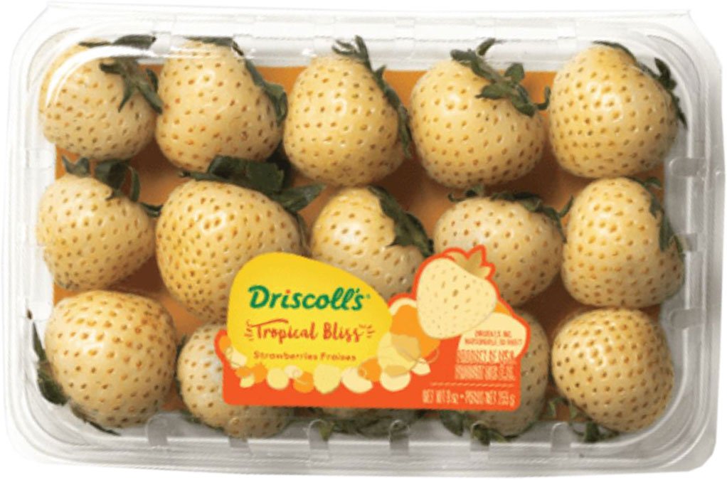 Driscoll's Tropical Bliss Strawberries Shop at HEB