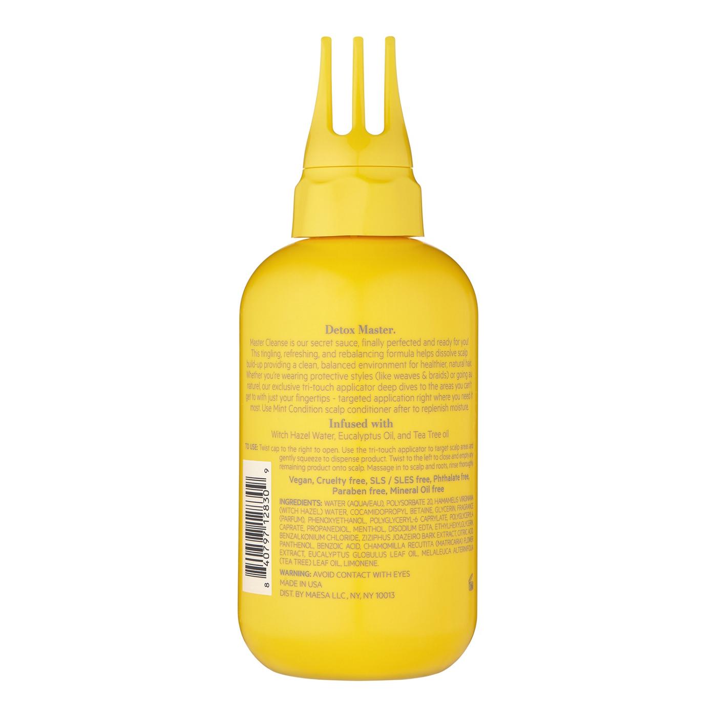 TPH by Taraji Scalp Treatment Master Cleanse Wash; image 2 of 2