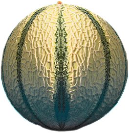 Whole Canary Melon Shop at HEB