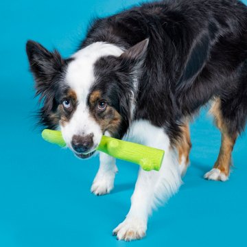 Woof & Whiskers TPR Stick Dog Toy