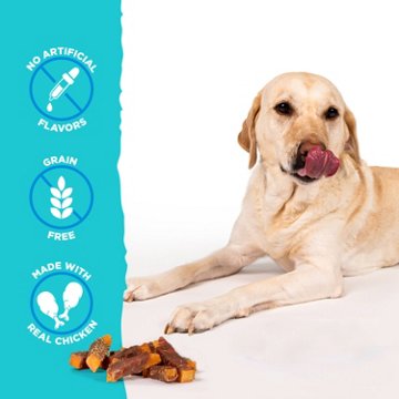 H-E-B Texas Pets Dog Treats - Sweet Potato & Chicken Jerky, 16 oz