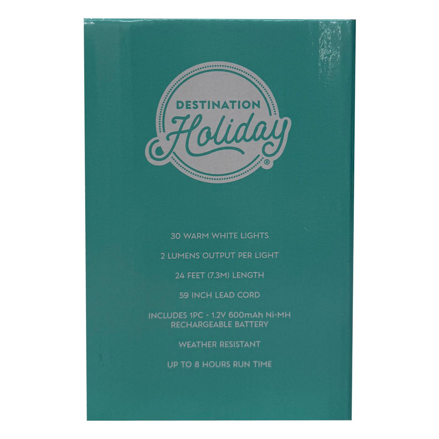 Destination Holiday Solar-Powered Bee Shape LED String Lights; image 4 of 6