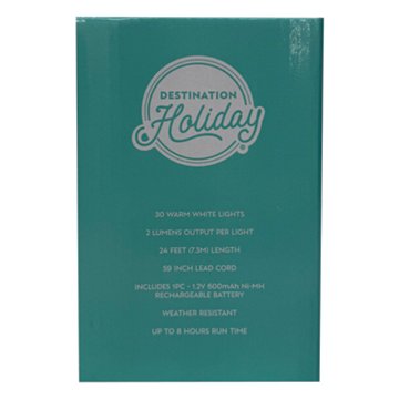 Destination Holiday Solar-Powered Bee Shape LED String Lights, 30 ct