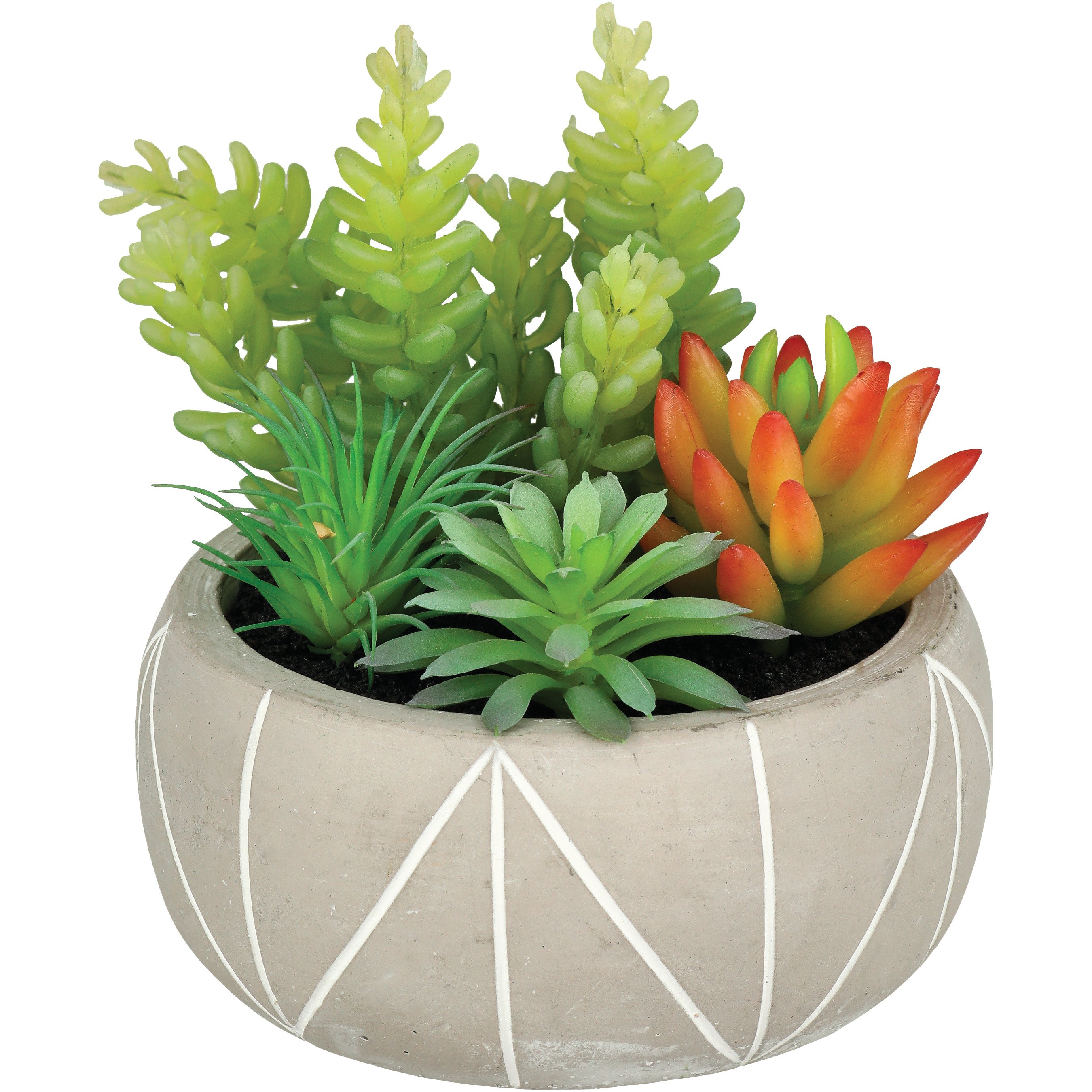 Haven + Key Faux Succulents In Ceramic Bowl - Shop Seasonal Decor At H-e-b