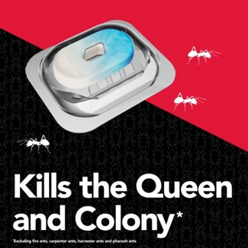 Raid MAX Liquid Ant Baits, 4 ct