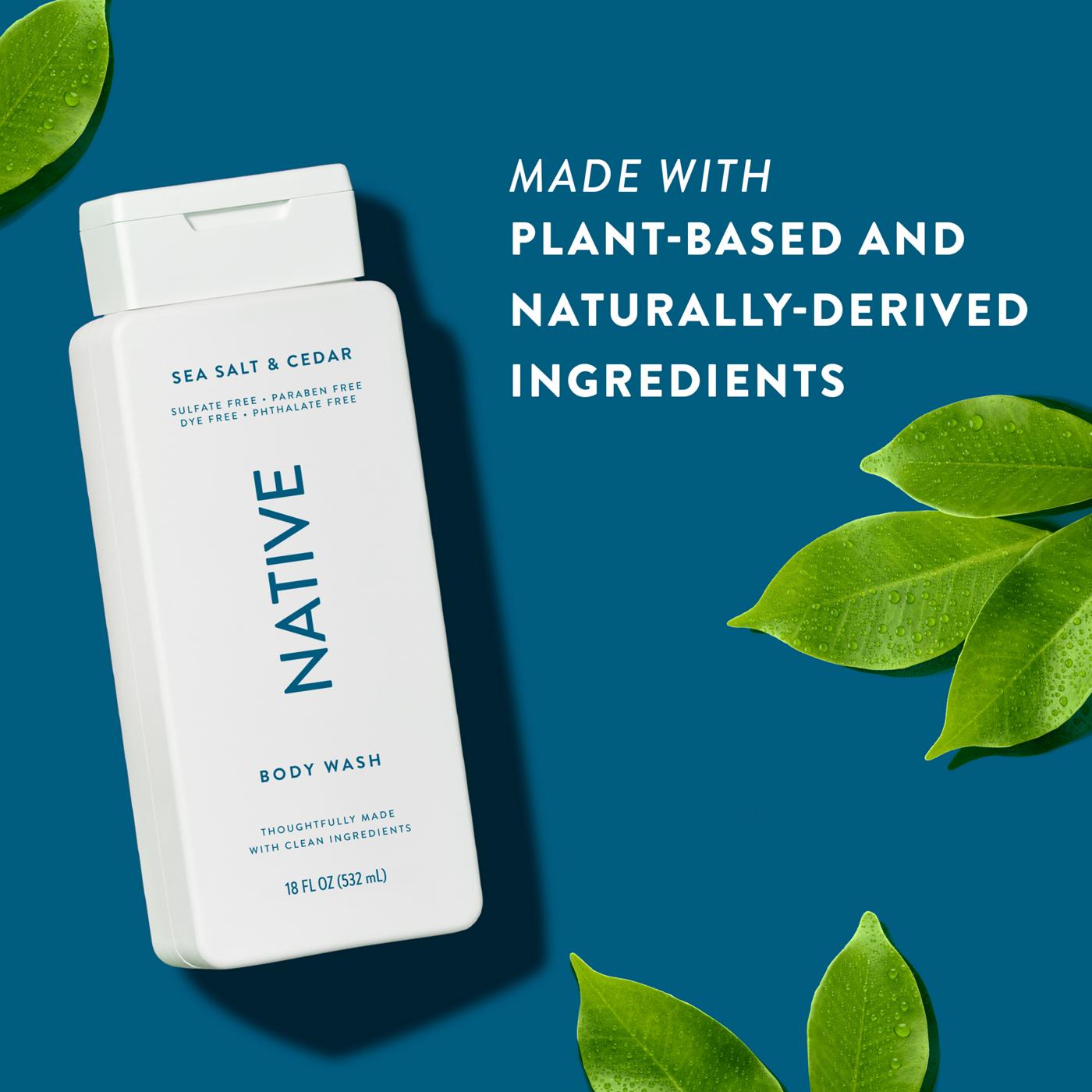 Native Body Wash - Sea Salt & Cedar; image 7 of 9