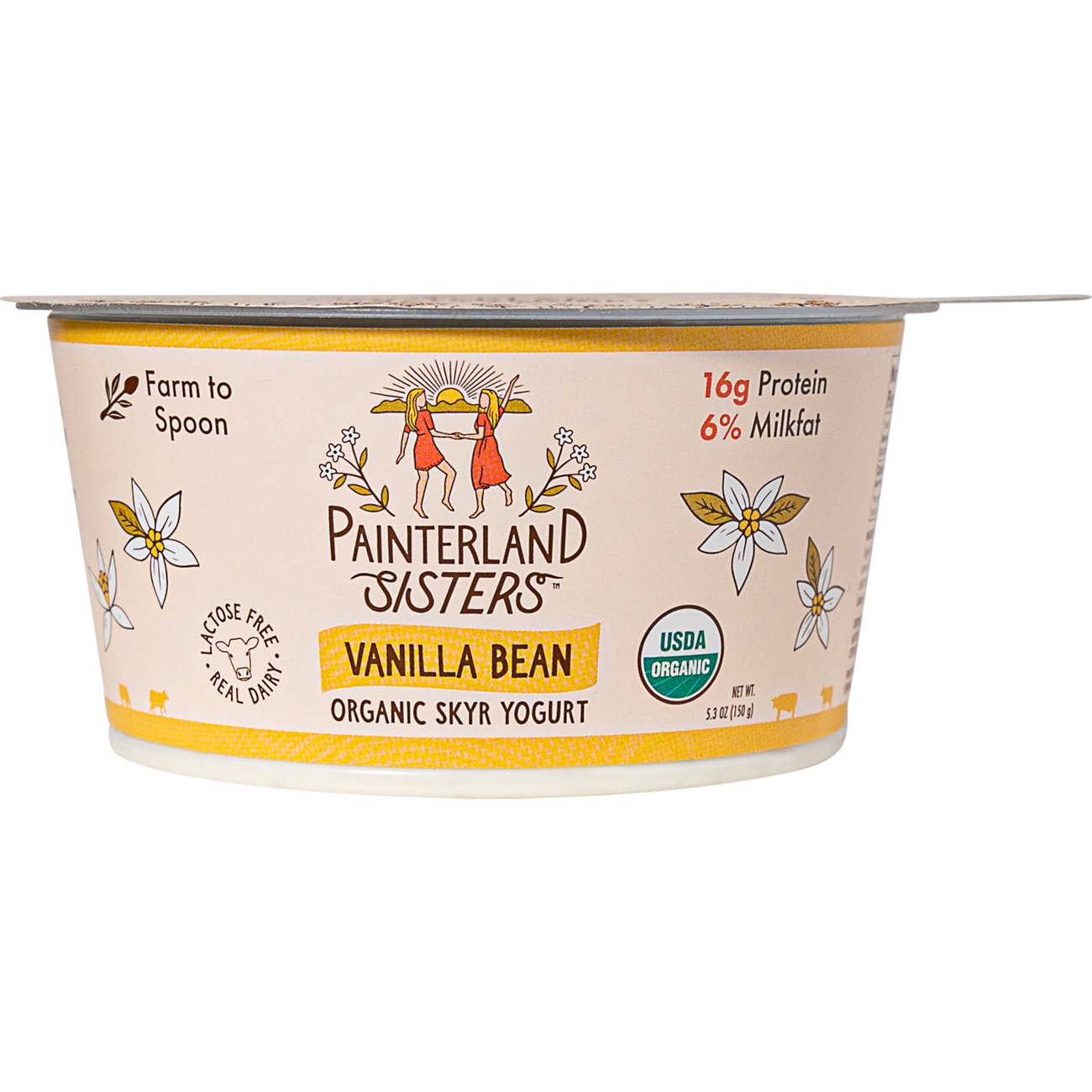 Painterland Sisters Organic Vanilla Bean Icelandic Style Skyr Yogurt, 5.3 oz