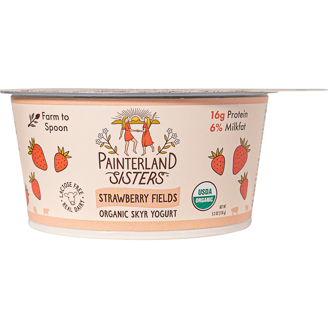 Painterland Sisters Organic Strawberry Icelandic Style Skyr Yogurt, 5.3 oz