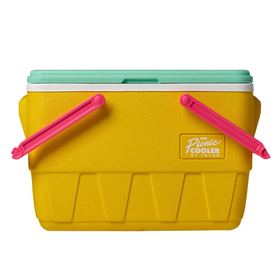 Igloo 2024 cooler retro