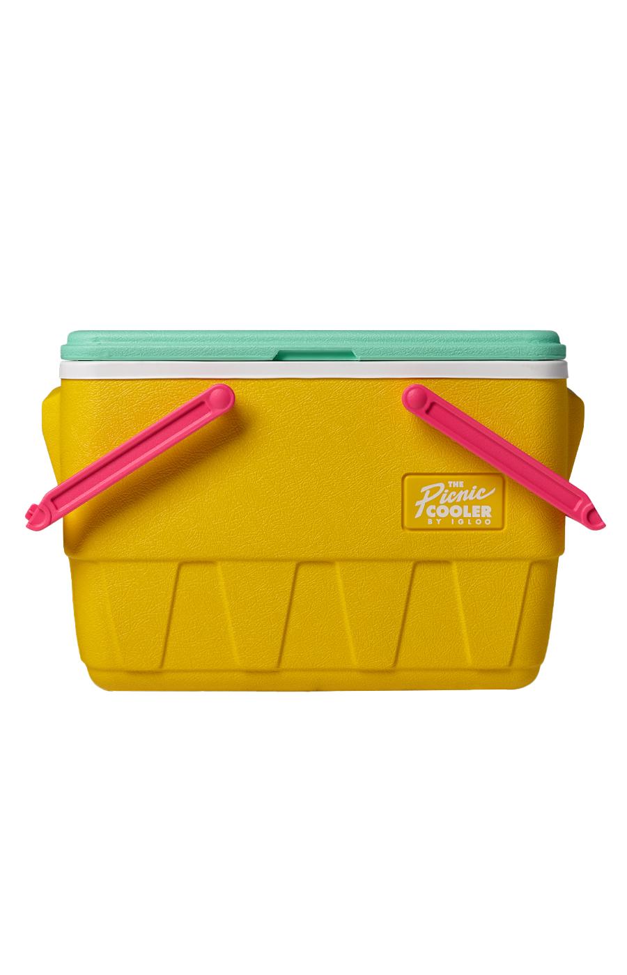 Retro igloo hot sale cooler