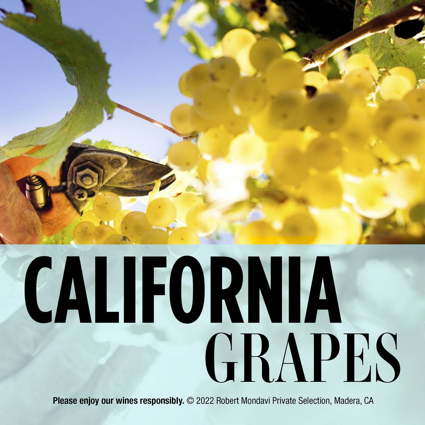 Robert Mondavi Private Selection Selection Lightly Bubbled Pinot Grigio