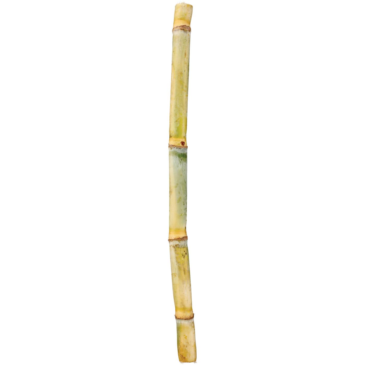 H-E-B Mi Tienda Fresh Sugarcane Stalk; image 1 of 2