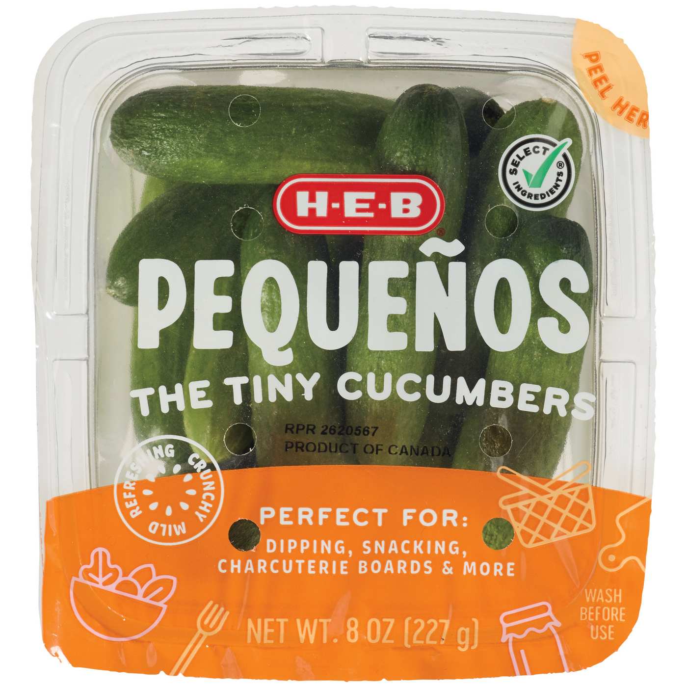 Fresh Mini Cucumbers, 16 oz