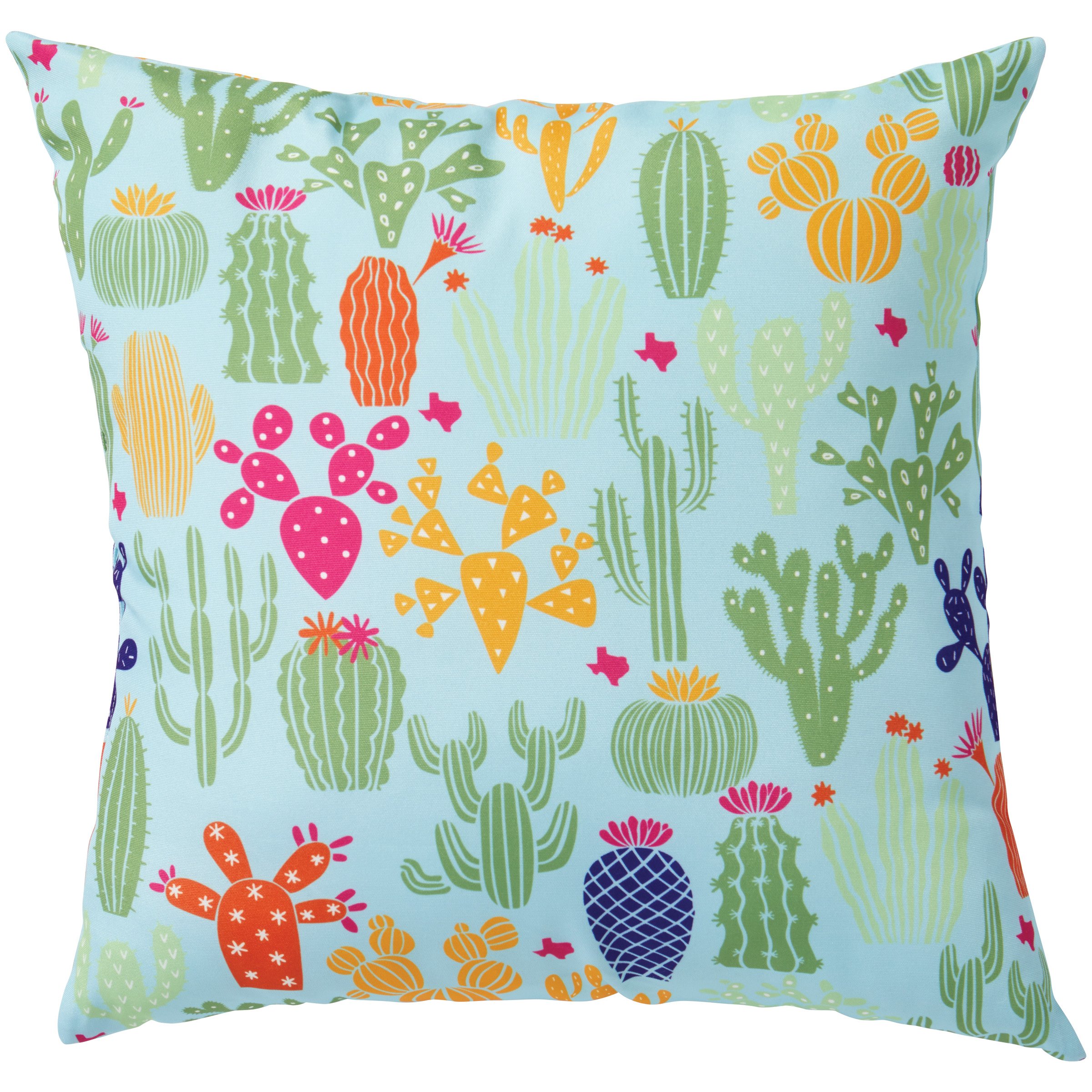 Outdoor 2024 cactus pillow