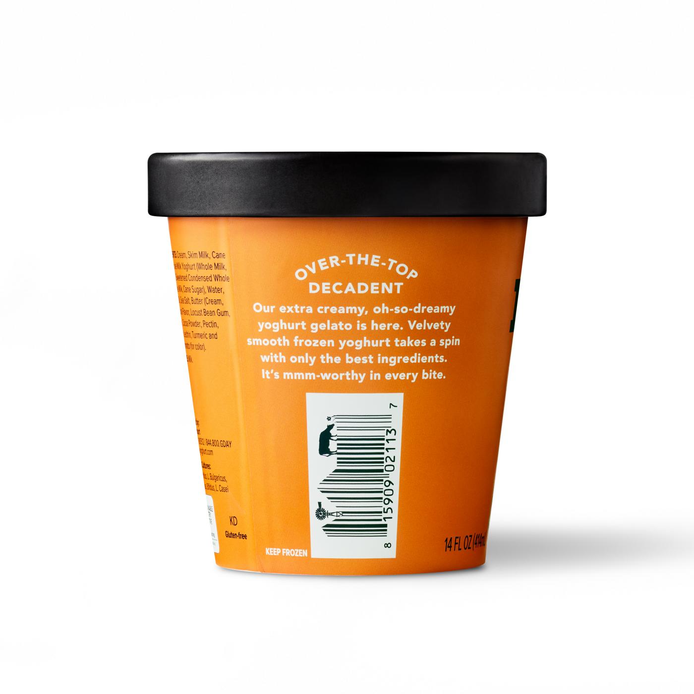 Noosa Sea Salt Caramel Frozen Yoghurt Gelato Shop Ice Cream at HEB