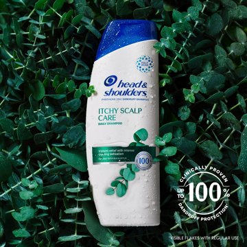 Head & Shoulders Itchy Scalp Care Dandruff Shampoo