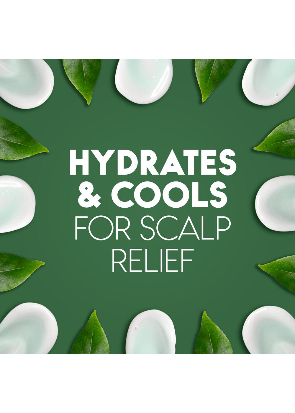 Head & Shoulders 2 in 1 Dandruff Shampoo + Conditioner - Tea Tree Oil; image 5 of 11