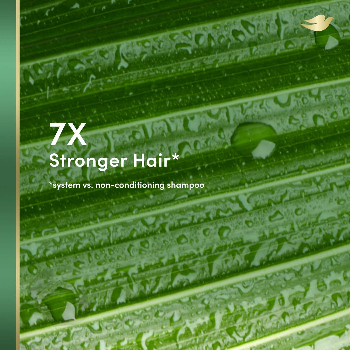 Dove Real Coconut Repair Conditioner Shop Shampoo & conditioner at HEB