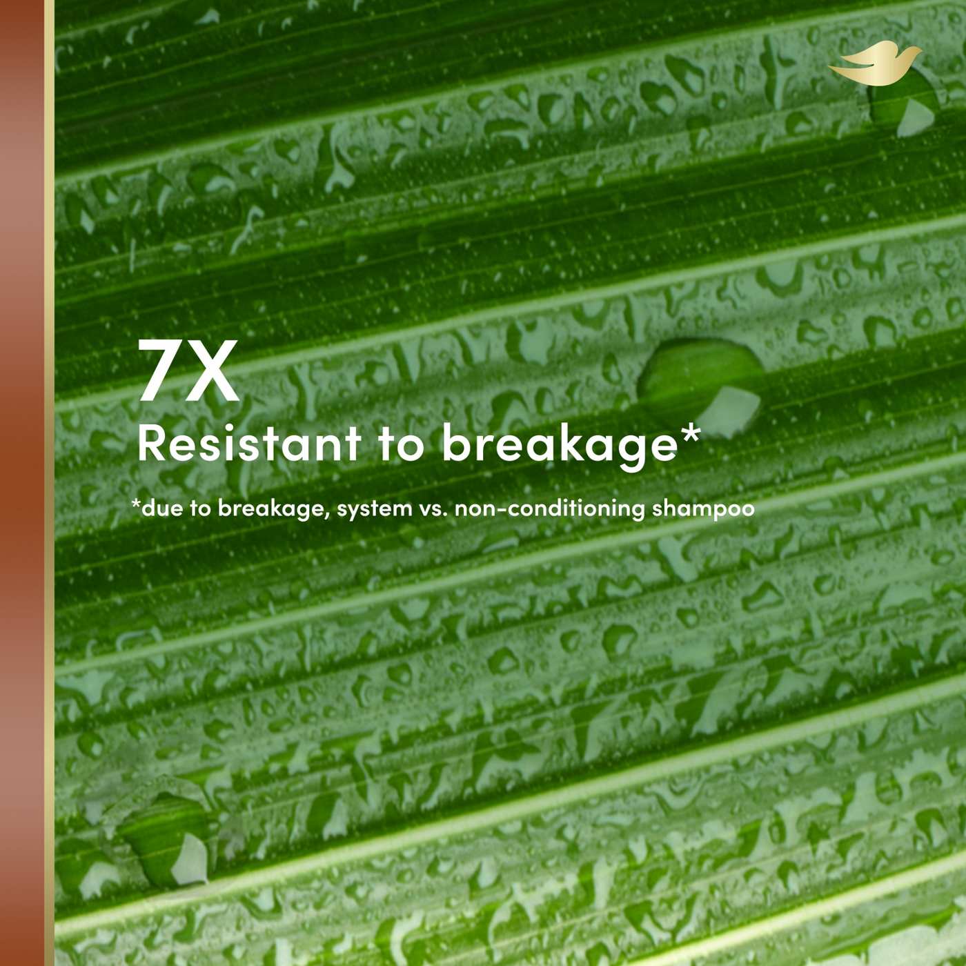 Dove Real Coconut Resist Shampoo; image 7 of 8