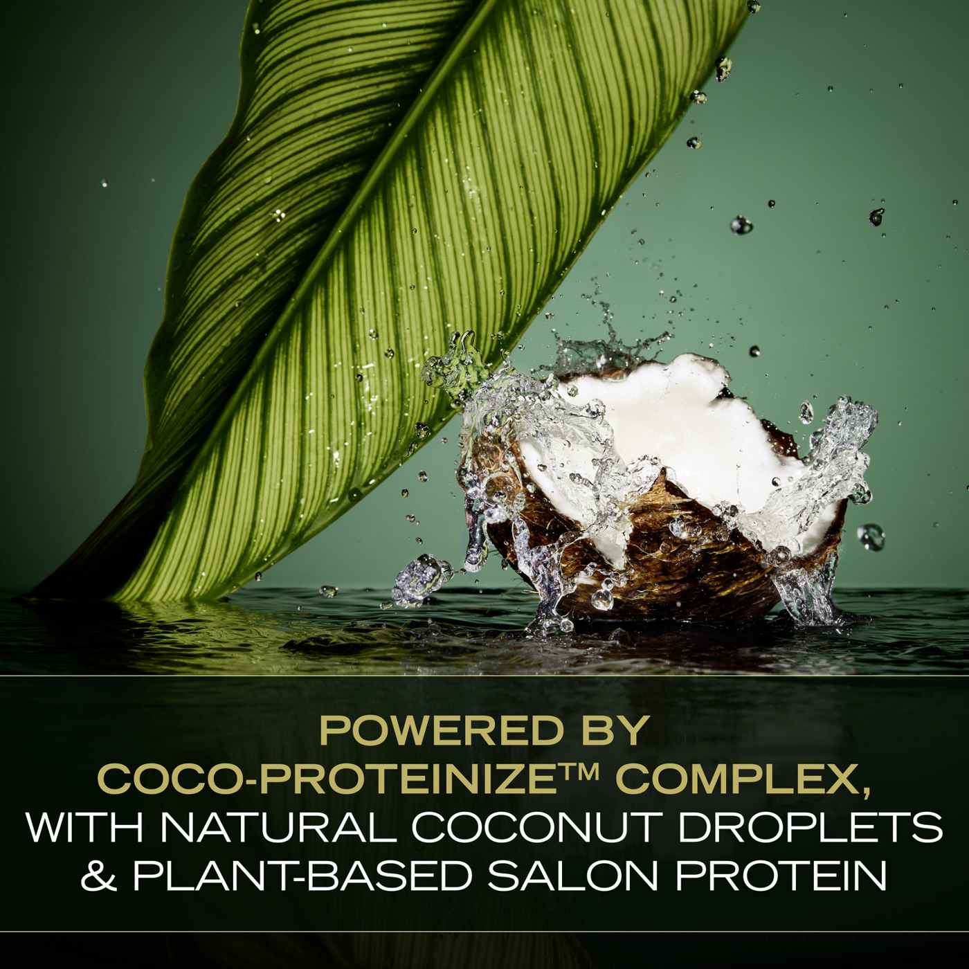 TRESemmé Cruelty Free Pro Infusion Fluid Volume Shop Shampoo & conditioner at HEB