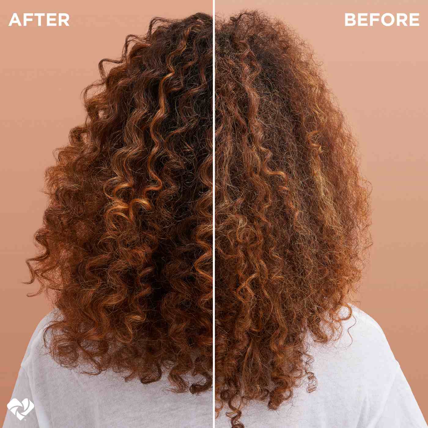 Garnier Whole Blends Miracle Frizz Tamer 10-in-1 Leave-In Treatment; image 3 of 8