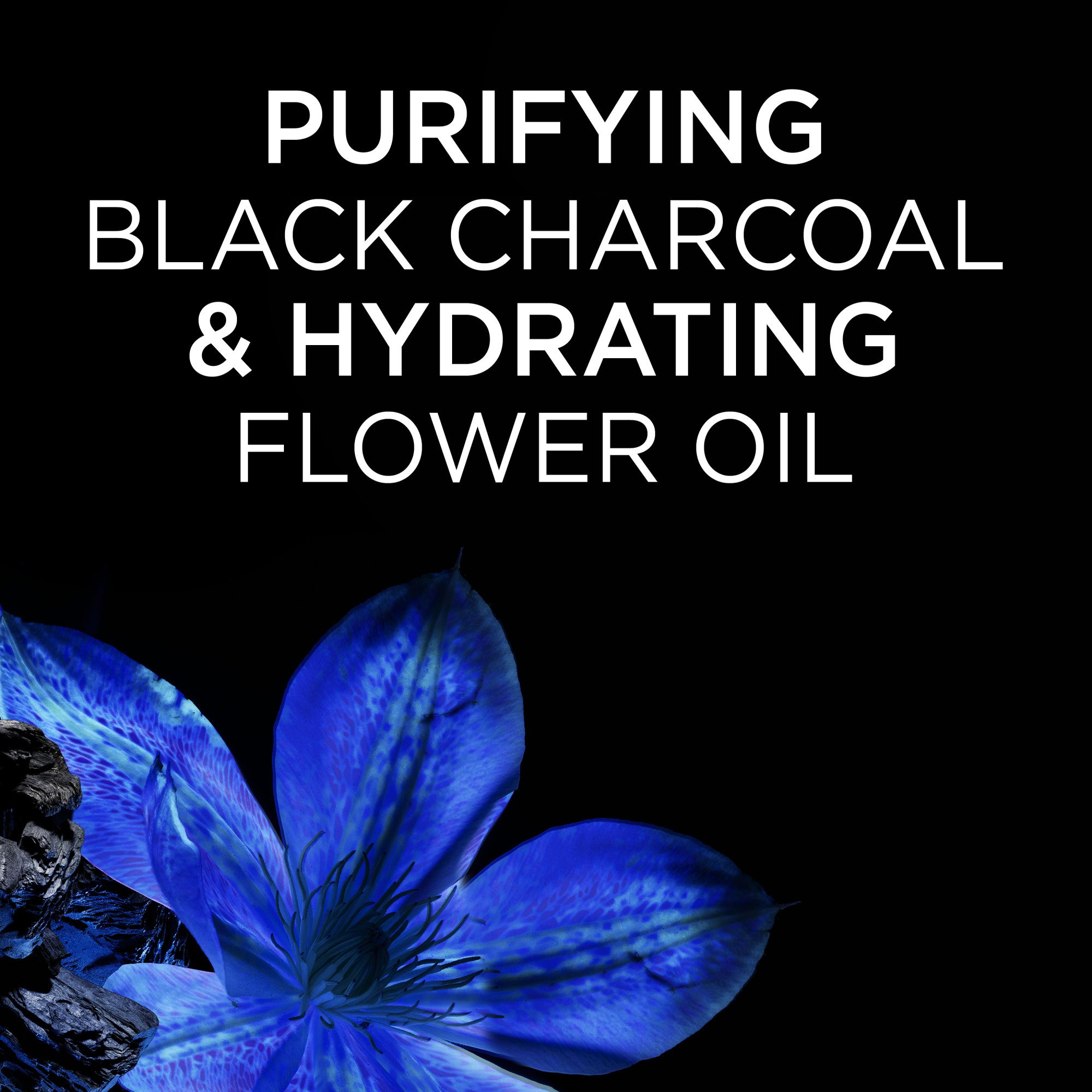 Garnier Whole Blends Black Charcoal And Nigella Flower Oil Rebalancing ...