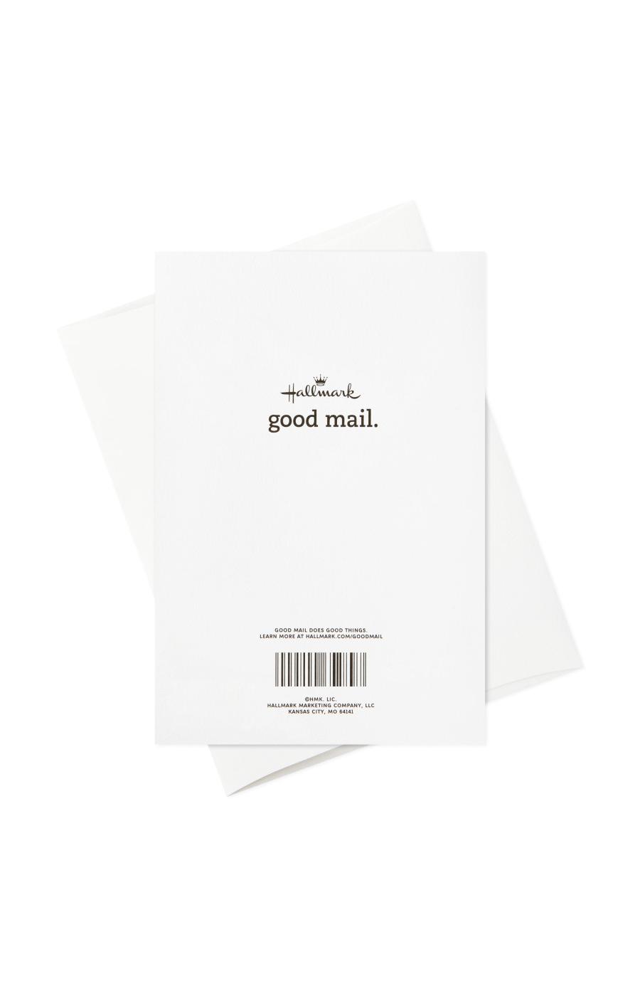 Hallmark Good Mail Graduation Card (You'll Be Amazing), S7, S8 Shop
