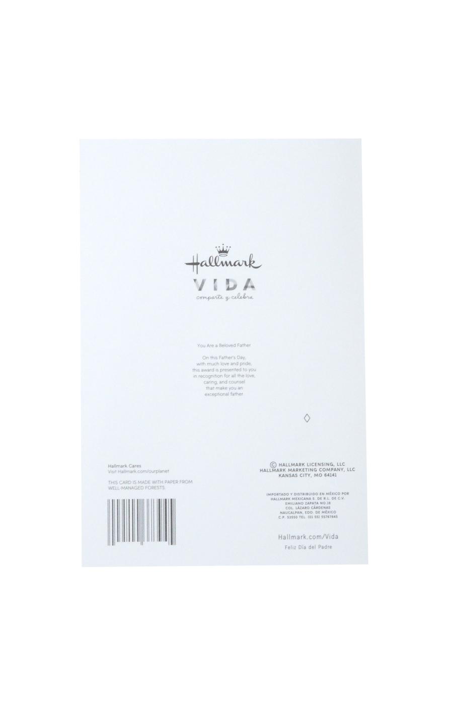 Hallmark VIDA Spanish Father's Day Card with Sound & Ribbon Badge (Papá ...