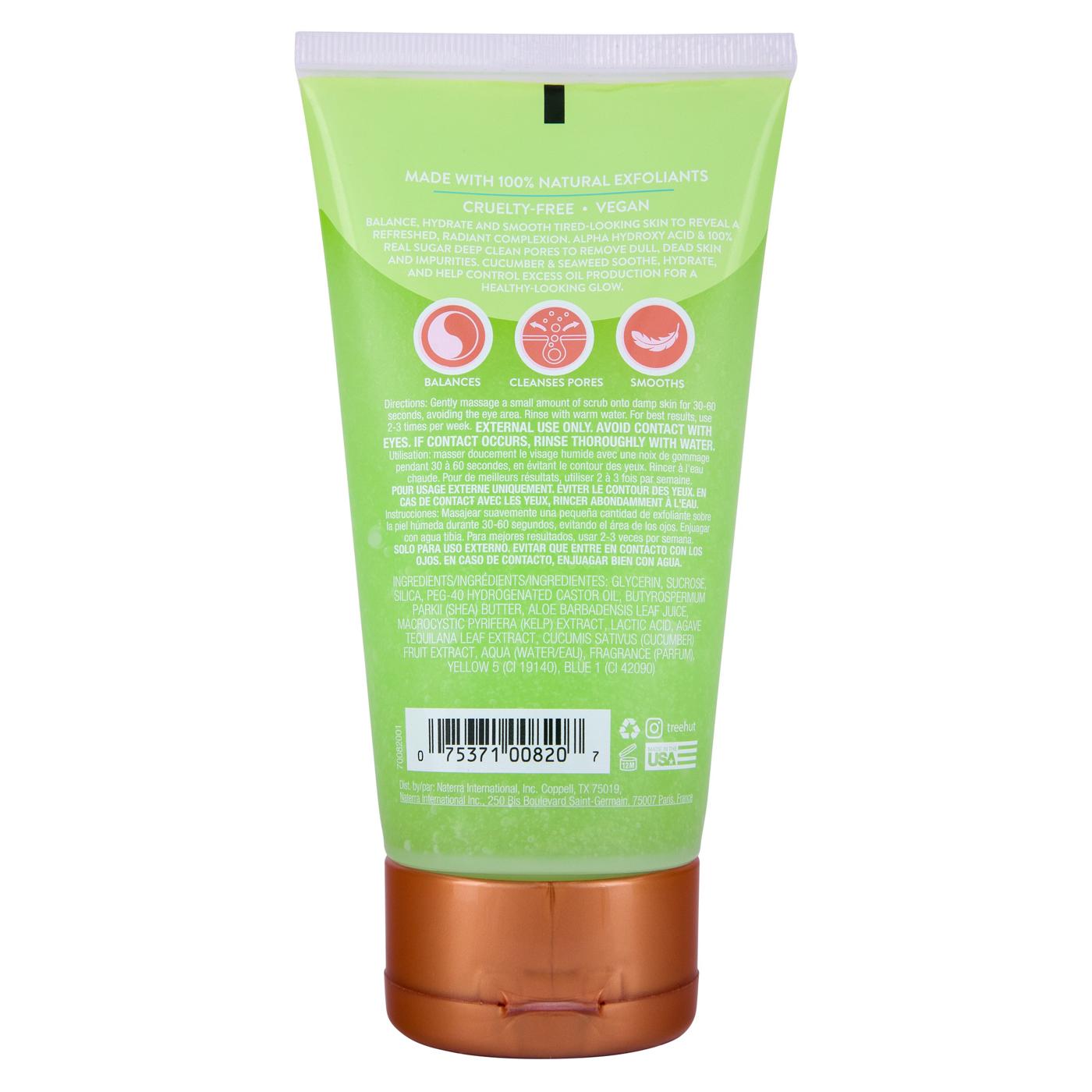 Tree Hut Balancing Face Scrub - Cucumber Seaweed; image 2 of 2