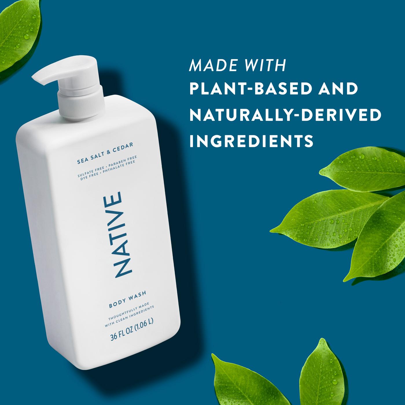 Native Body Wash - Sea Salt & Cedar; image 3 of 9