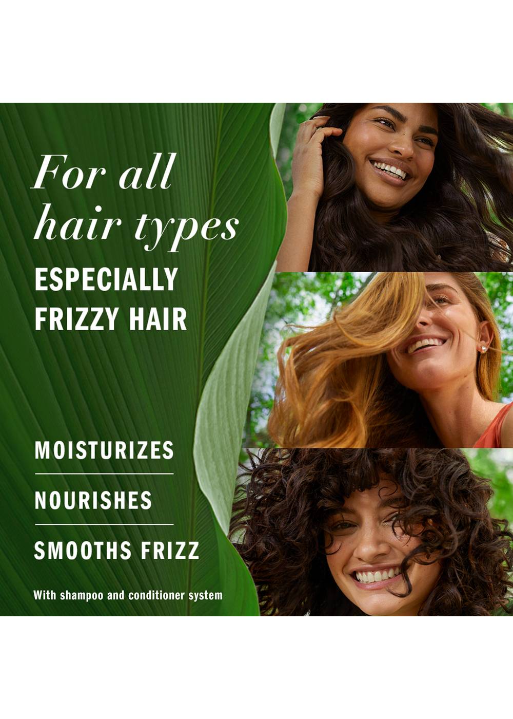Herbal Essences Jojoba Oil Shampoo Shop Shampoo & Conditioner at HEB